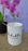 Habibti You Are So Loved Mug